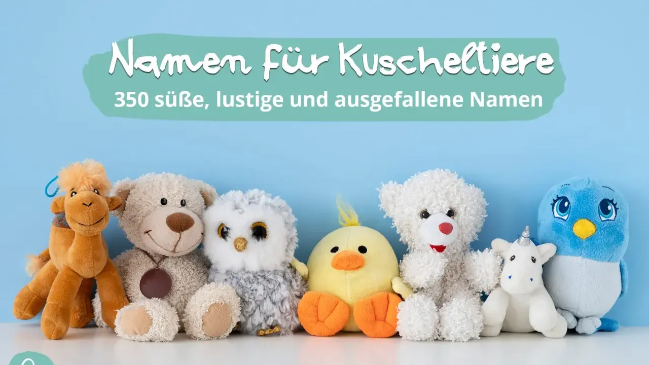 Eine Reihe von Kuscheltieren, von Kamel bis Vogel, wartet auf lustige Namen. 350 süße, lustige und ausgefallene Namen für dein neues Stofftier.
