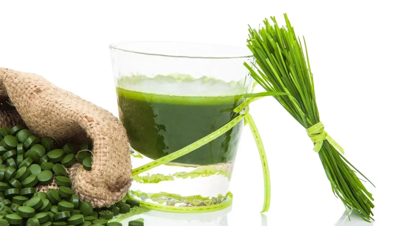 Gerstengras-Saft, Tabletten und frische Halme – ideal für die Stillzeit.