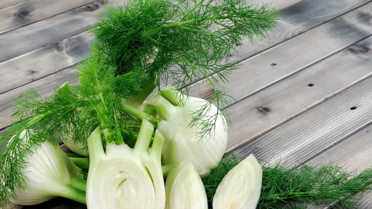 Frischer Fenchel, bekannt für seine verdauungsfördernden Eigenschaften, ist eine beliebte Wahl während der Schwangerschaft. Hier liegen ganze und angeschnittene Knollen auf Holzbrettern.