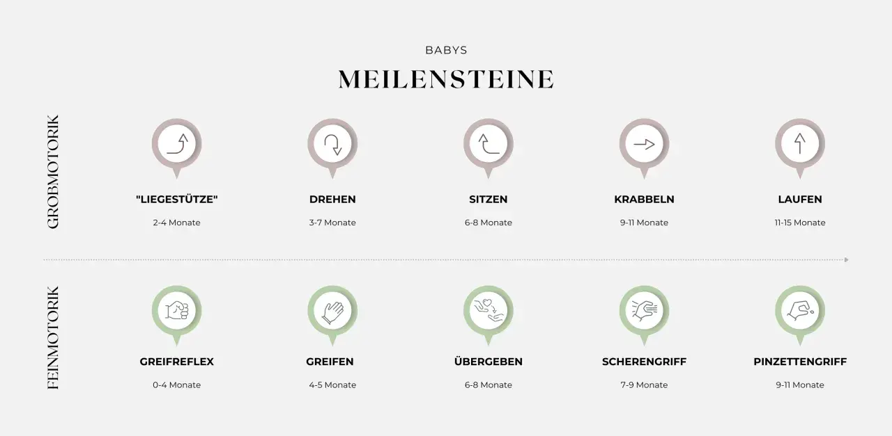 Entwicklung des Kindes im 1. Lebensjahr: Grob- und Feinmotorik-Meilensteine von Liegestütze bis Laufen und Greifen.