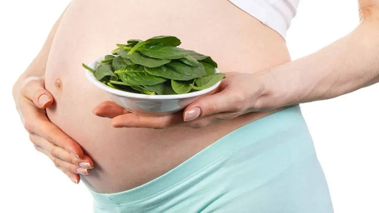 Schwangerer Bauch hält Schüssel mit frischem Spinat. Spinat stillen für gesunde Schwangerschaft.
