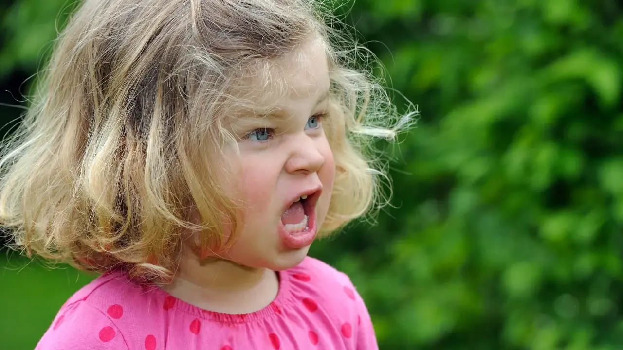 Wütendes zweijähriges Kind mit blonden Haaren und blauen Augen, das laut schreit. Warum haut mein Kind mich 2 Jahre?
