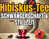 Hibiskustee in der Stillzeit: Eine Tasse mit Fragezeichen, umgeben von Hibiskusblüten und Pflanzen.