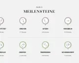 Entwicklung des Kindes im 1. Lebensjahr: Grob- und Feinmotorik-Meilensteine von Liegestütze bis Laufen und Greifen.