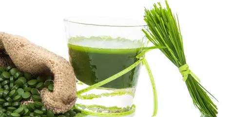 Gerstengras-Saft, Tabletten und frische Halme – ideal für die Stillzeit.
