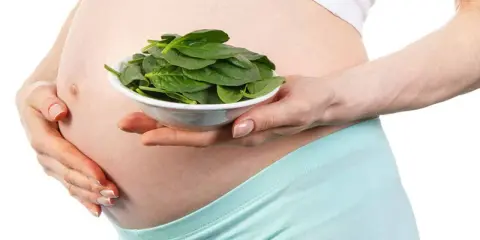 Schwangerer Bauch hält Schüssel mit frischem Spinat. Spinat stillen für gesunde Schwangerschaft.