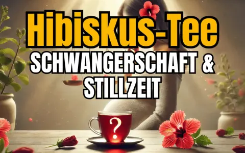 Hibiskustee in der Stillzeit: Eine Tasse mit Fragezeichen, umgeben von Hibiskusblüten und Pflanzen.