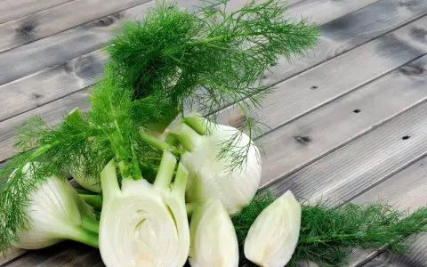 Frischer Fenchel, bekannt für seine verdauungsfördernden Eigenschaften, ist eine beliebte Wahl während der Schwangerschaft. Hier liegen ganze und angeschnittene Knollen auf Holzbrettern.
