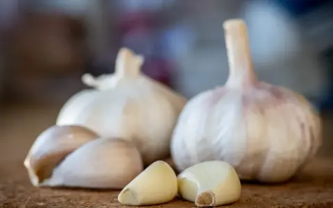 Frische Knoblauchzehen und ganze Knoblauchknollen liegen auf einer korkartigen Oberfläche. Knoblauch in der Schwangerschaft kann eine gesunde Ergänzung sein.