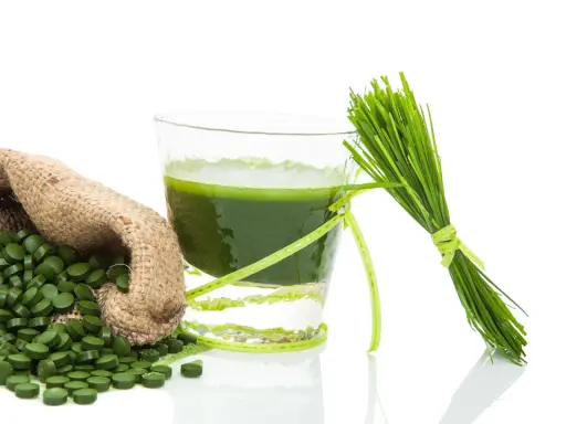 Gerstengras-Saft, Tabletten und frische Halme – ideal für die Stillzeit.