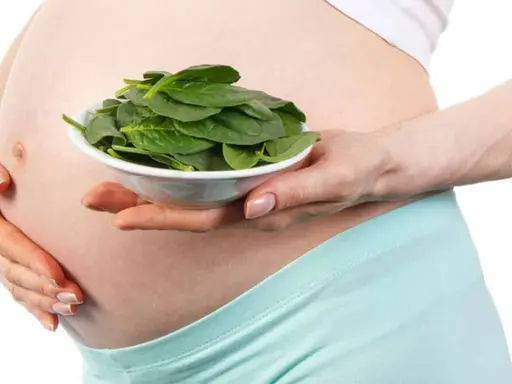Schwangerer Bauch hält Schüssel mit frischem Spinat. Spinat stillen für gesunde Schwangerschaft.