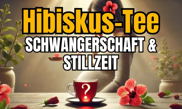 Hibiskustee in der Stillzeit: Eine Tasse mit Fragezeichen, umgeben von Hibiskusblüten und Pflanzen.