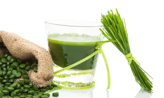 Gerstengras-Saft, Tabletten und frische Halme – ideal für die Stillzeit.