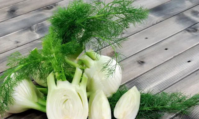 Frischer Fenchel, bekannt für seine verdauungsfördernden Eigenschaften, ist eine beliebte Wahl während der Schwangerschaft. Hier liegen ganze und angeschnittene Knollen auf Holzbrettern.