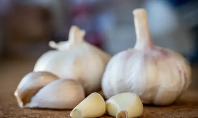 Frische Knoblauchzehen und ganze Knoblauchknollen liegen auf einer korkartigen Oberfläche. Knoblauch in der Schwangerschaft kann eine gesunde Ergänzung sein.