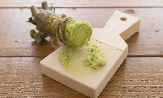 Frisch geriebener Wasabi auf einem Holzbrett. Auch in der Schwangerschaft kann Wasabi in Maßen genossen werden.