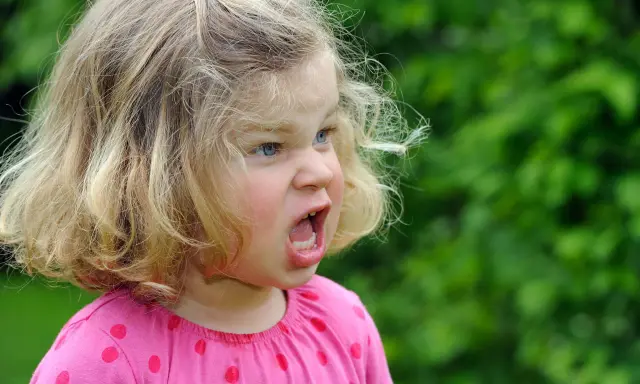 Wütendes zweijähriges Kind mit blonden Haaren und blauen Augen, das laut schreit. Warum haut mein Kind mich 2 Jahre?