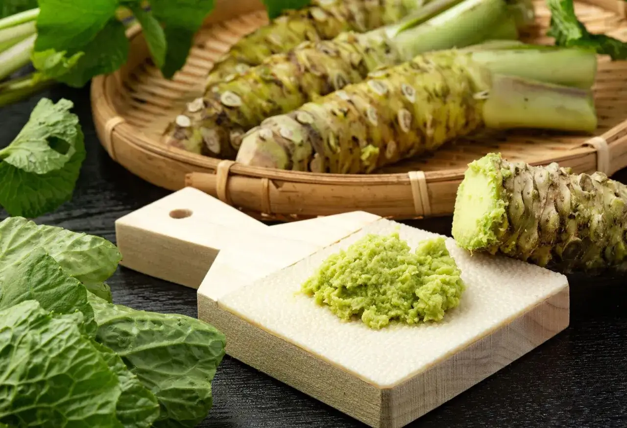 Frisch geriebener Wasabi auf einem Reibebrett. Auch in der Schwangerschaft kann Wasabi in Ma&szlig;en genossen werden.