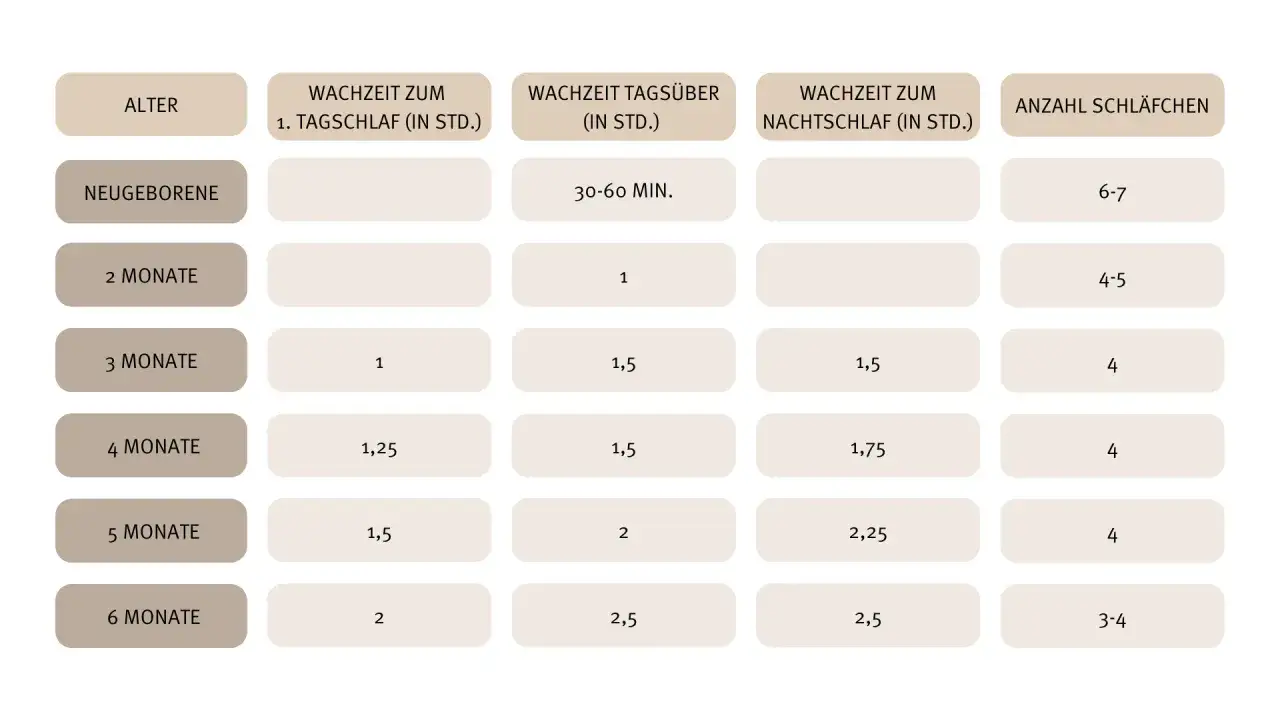Tabelle zeigt die Entwicklung der Schlafzyklen bei Babys von Neugeborenen bis 6 Monate, mit Angaben zu Tag- und Nachtschlaf sowie Anzahl der Schl&auml;fchen.