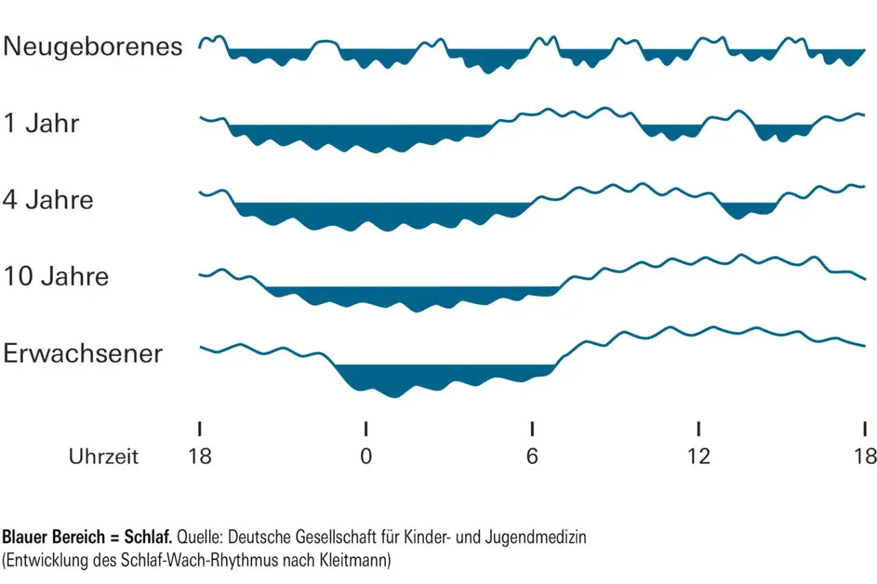 Grafik zeigt die Entwicklung der Schlafzyklen bei Babys und Kindern. Mit dem Alter werden die Schlafphasen l&auml;nger und zusammenh&auml;ngender.