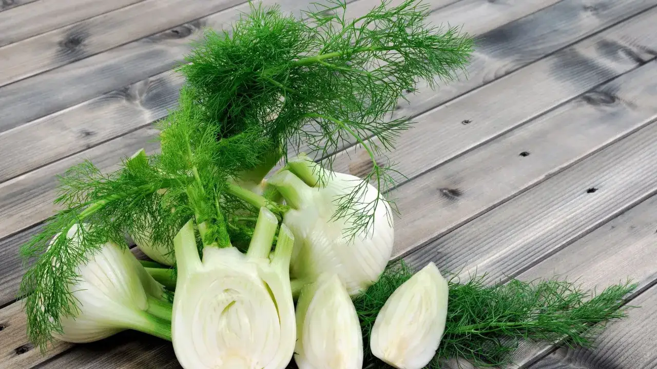 Frischer Fenchel, bekannt f&uuml;r seine verdauungsf&ouml;rdernden Eigenschaften, ist eine beliebte Wahl f&uuml;r Frauen in der Schwangerschaft.