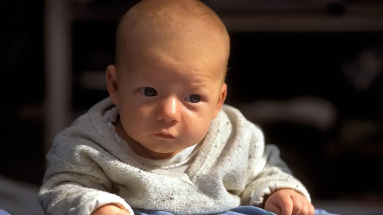 Ein Baby liegt auf dem Bauch und schaut neugierig in die Kamera. Es tr&auml;gt einen hellen Pullover.