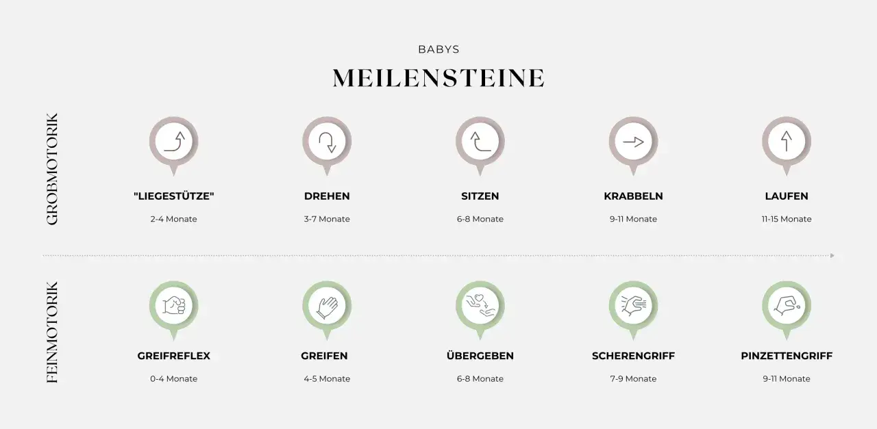 Meilensteine der Entwicklung des Kindes im 1. Lebensjahr: Grob- und Feinmotorik von Liegest&uuml;tze bis Laufen, Greifen und Pinzettengriff.