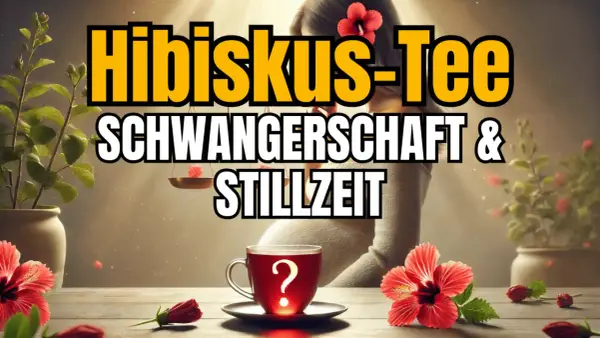 Hibiskustee in der Stillzeit: Eine Tasse mit Fragezeichen, umgeben von Hibiskusblüten und Pflanzen.